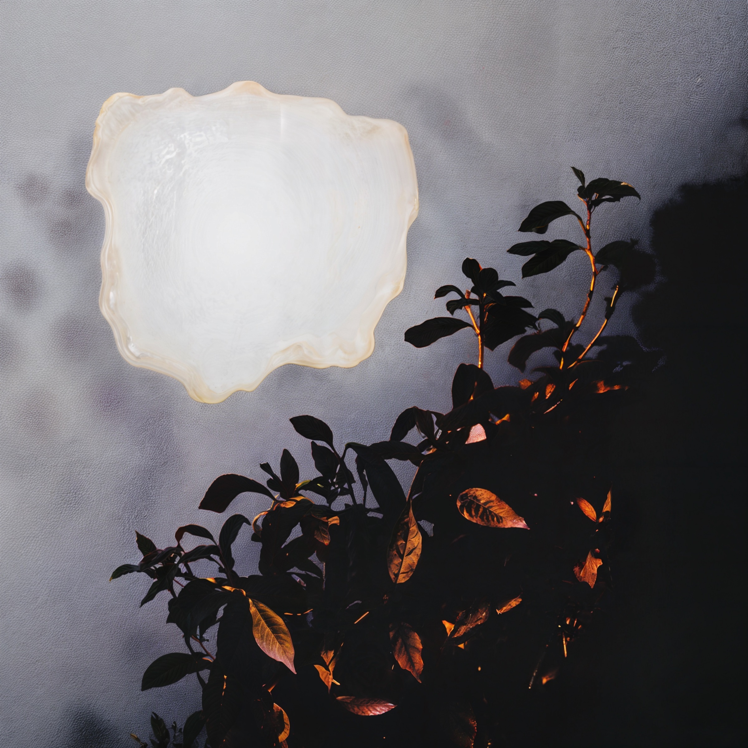 Oyster Moon, a pale shell-like moon beside a dark leafy plant