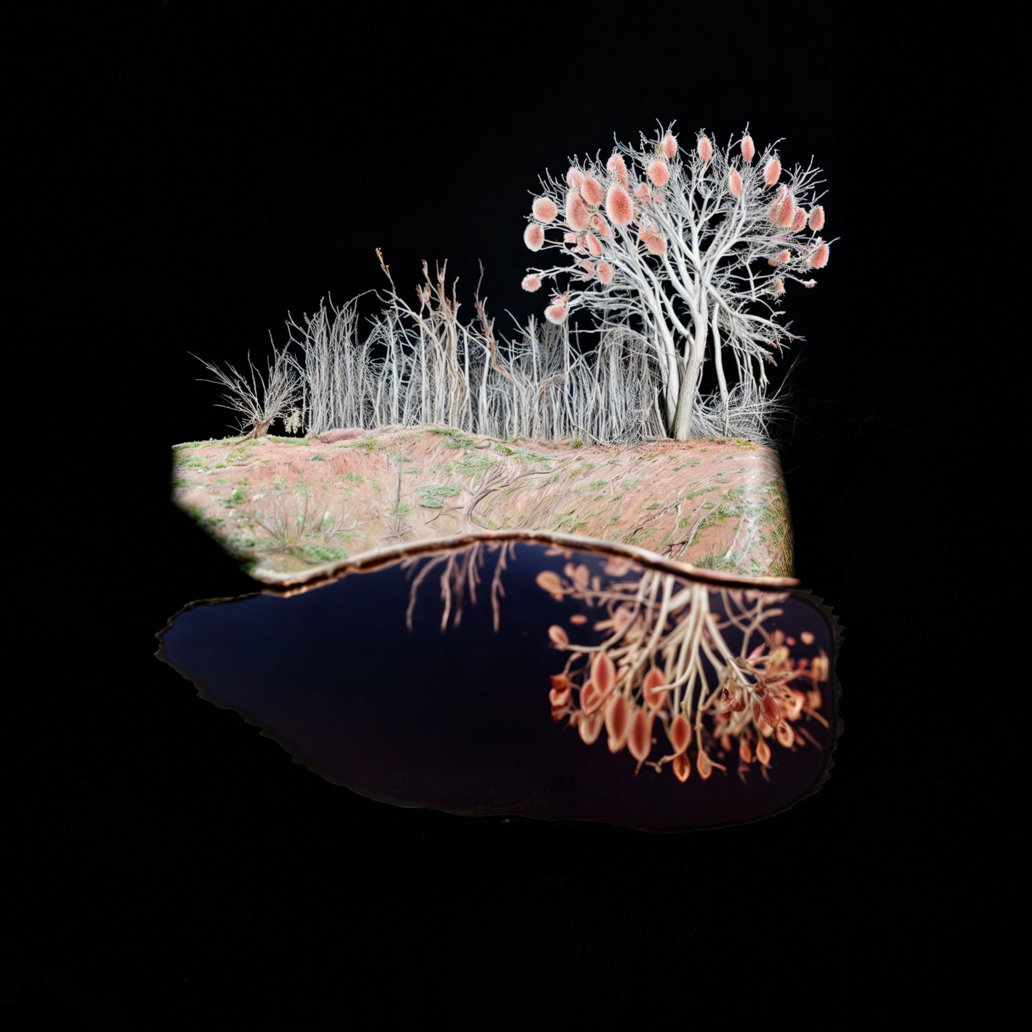 Sample Image 12